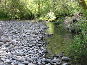 Twin River