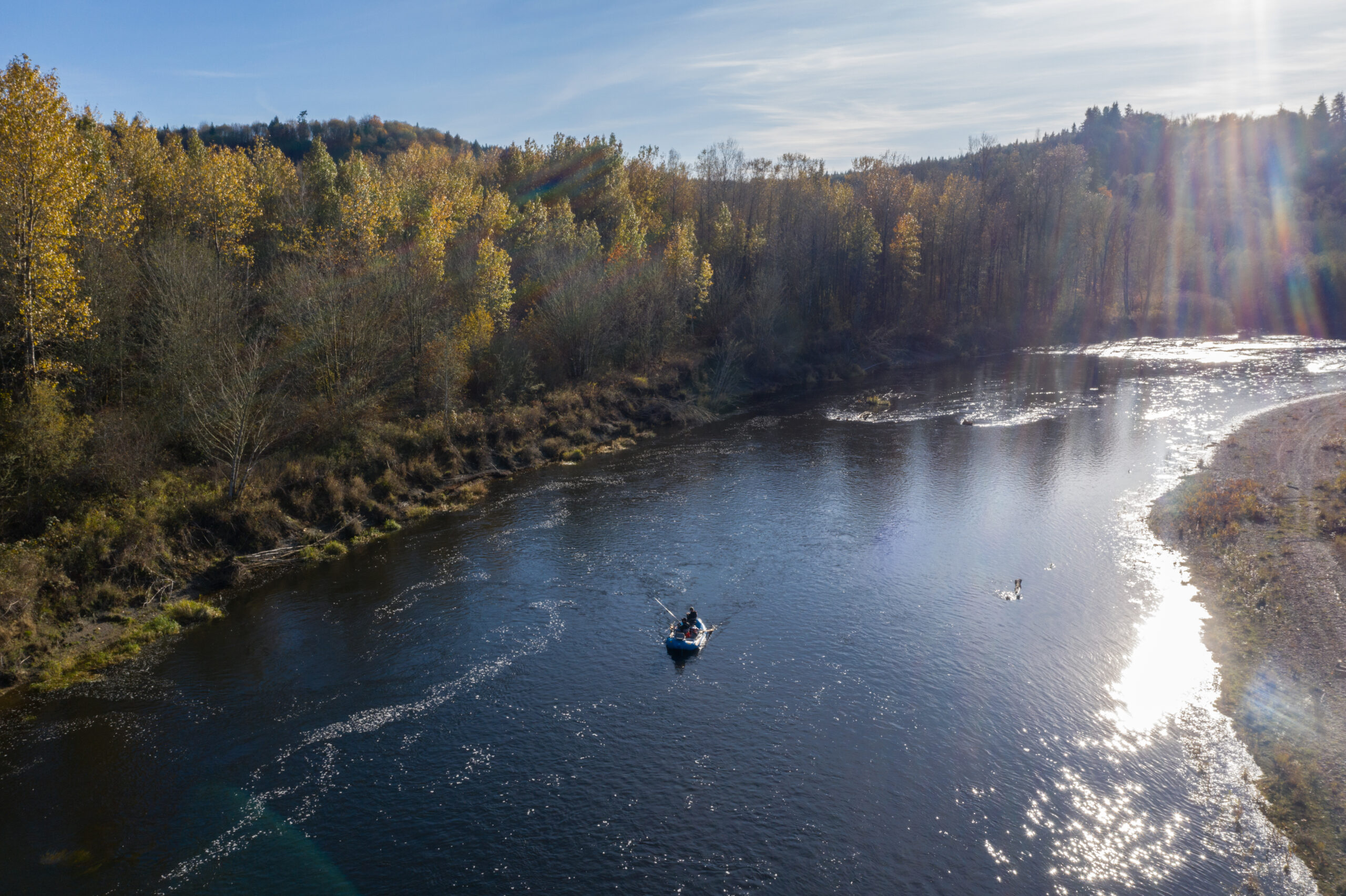 What’s brewing in the Chehalis River Basin (and why it matters for