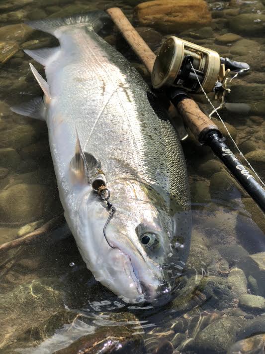 Lee Geist: Strobe Probing For Steelhead – Wild Steelheaders United