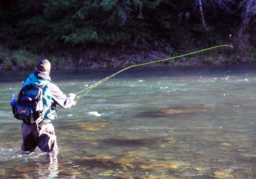 An unfortunate reality: Depleted Olympic Peninsula steelhead and emergency  conservation measures – Wild Steelheaders United