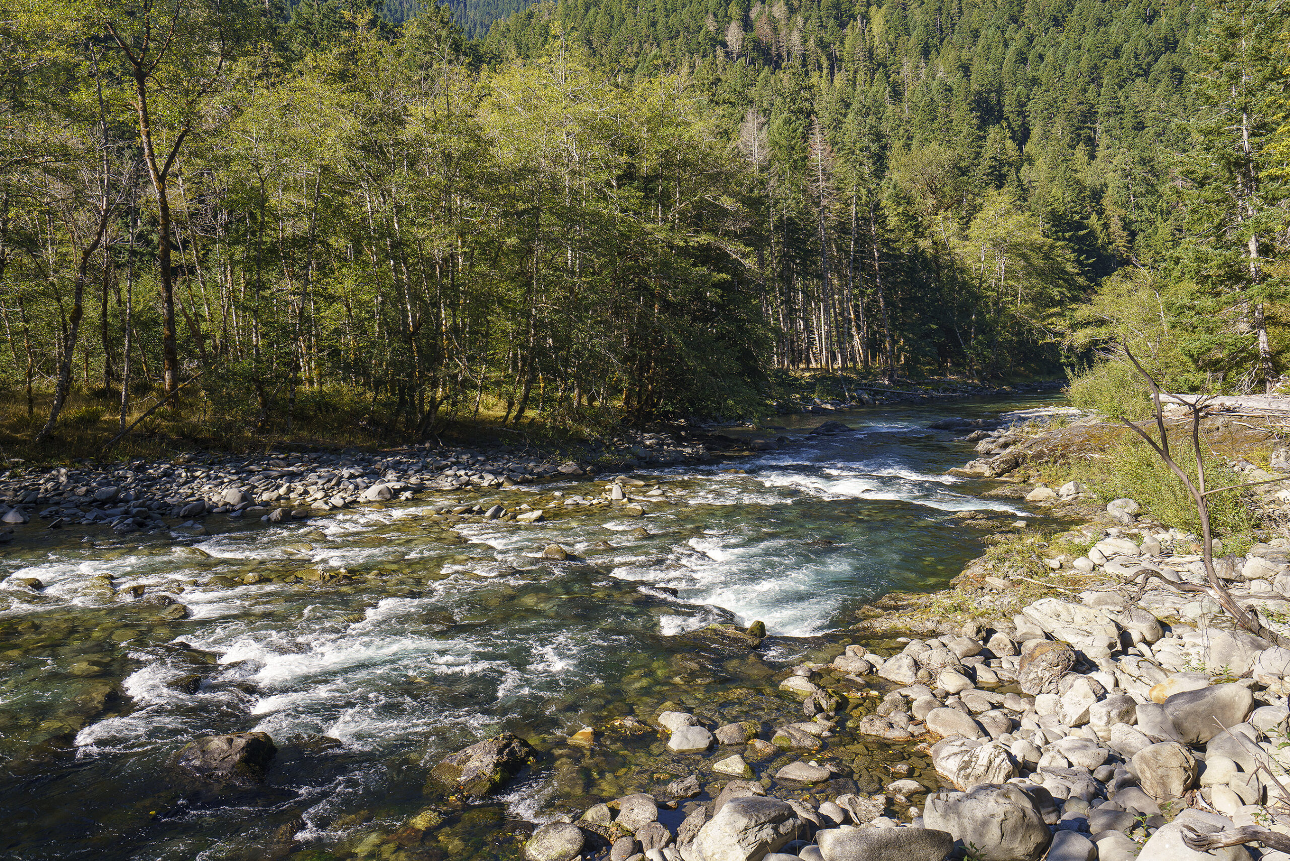 www.wildsteelheaders.org