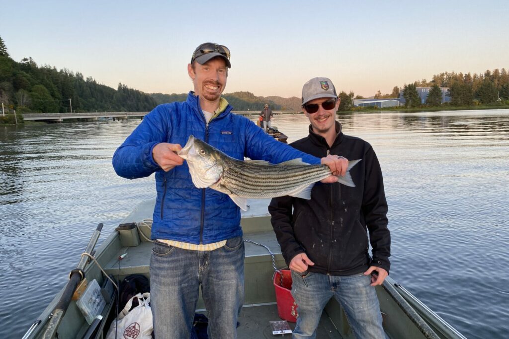 Striper hunting in steelhead country – Wild Steelheaders United