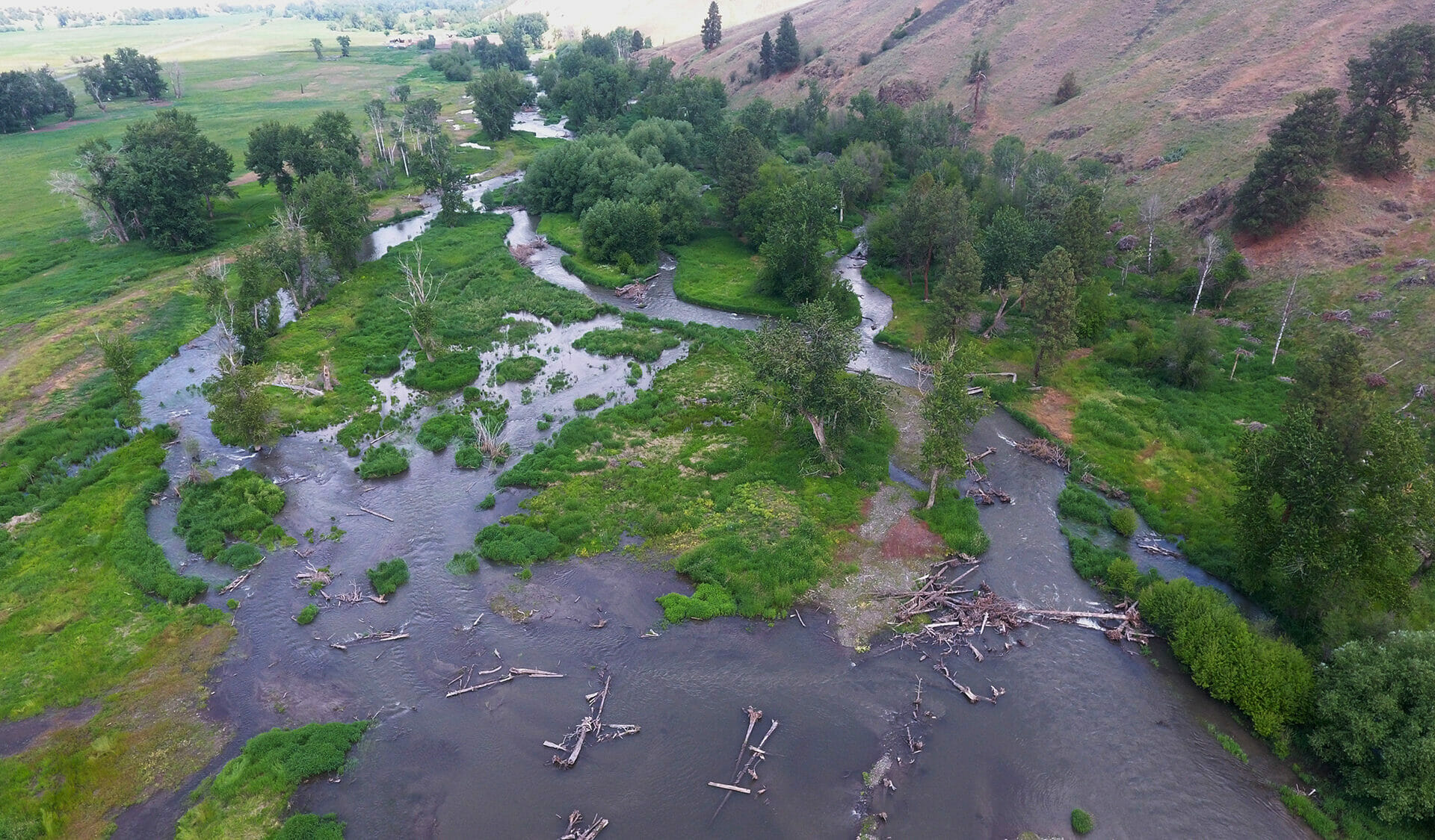 A New Video Celebrates an Ambitious Restoration Project on the Wallowa